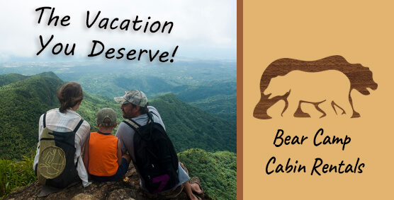 Image for Three of Our Favorite Things To Do in the Smokies