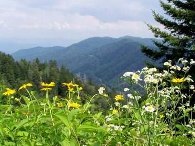 Image for Mother's Day in the Smokies