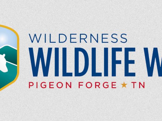 Image for Annual Wilderness Wildlife Event in Pigeon Forge Bigger Than Ever