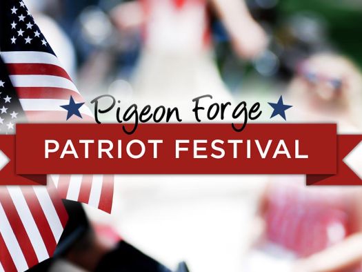Image for 25th Annual Patriot Festival