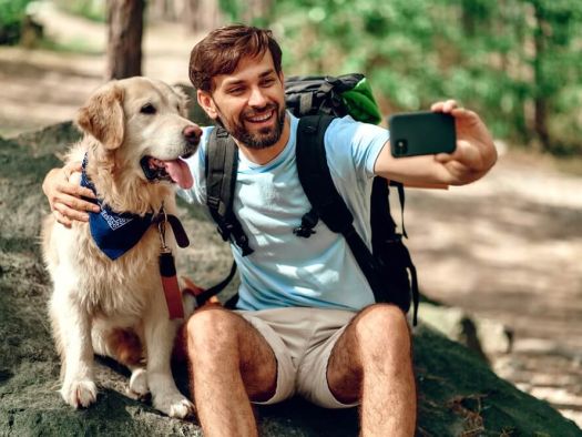 Image for What to Do When Staying at Pet-Friendly Cabins in the Smoky Mountains