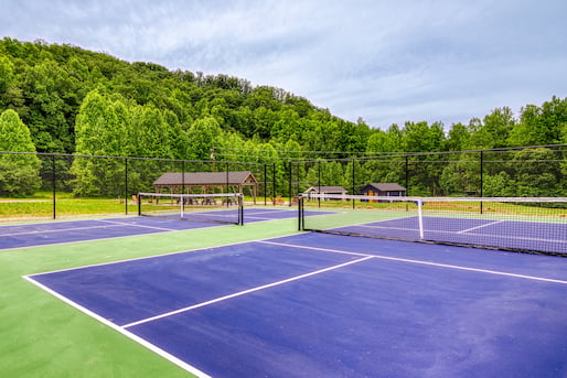 Cabin with Pickleball Court